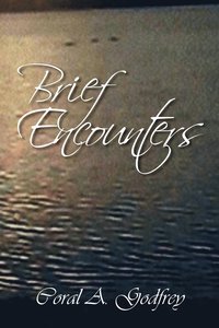 bokomslag Brief Encounters