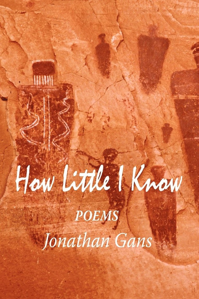 Jonathan Gans - How Little I Know, Häftad