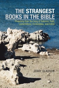 bokomslag The Strangest Books in the Bible