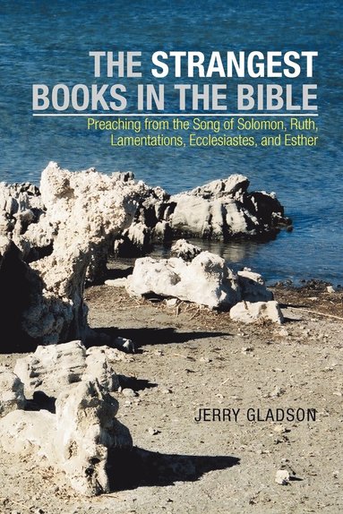 bokomslag Strangest Books in the Bible