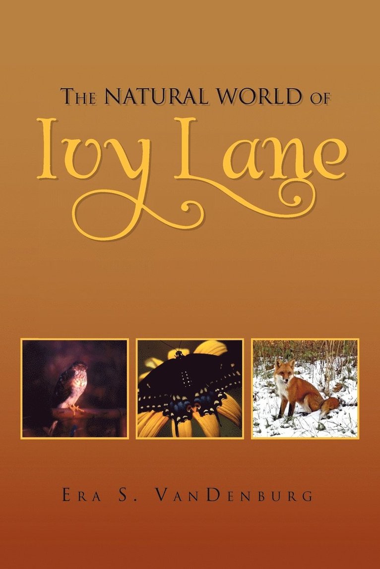 The Natural World of Ivy Lane 1