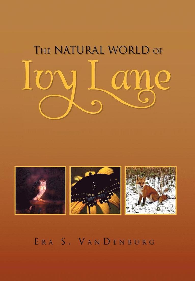 The Natural World of Ivy Lane 1