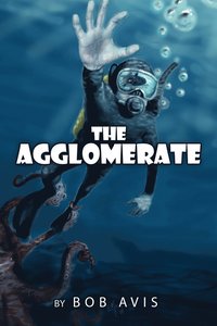 bokomslag The Agglomerate