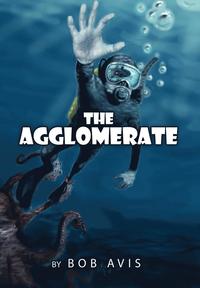 bokomslag The Agglomerate