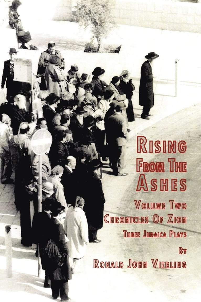 Rising from the Ashes Vol 2 1