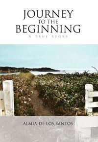 bokomslag Journey to the Beginning