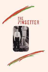 bokomslag Pinsetter
