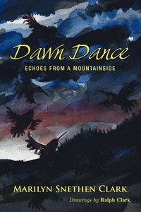 bokomslag Dawn Dance