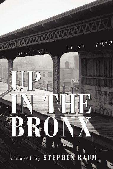 bokomslag Up in the Bronx