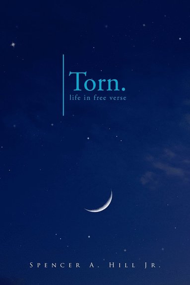bokomslag Torn.