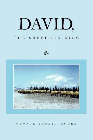 bokomslag David, the Shepherd King