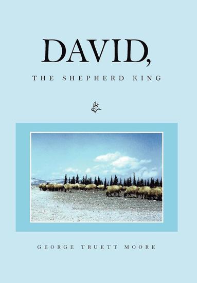 bokomslag David, the Shepherd King