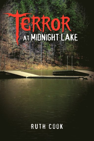 bokomslag Terror at Midnight Lake