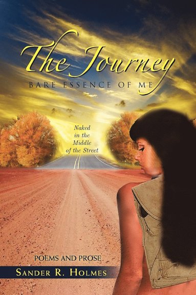 bokomslag Journey