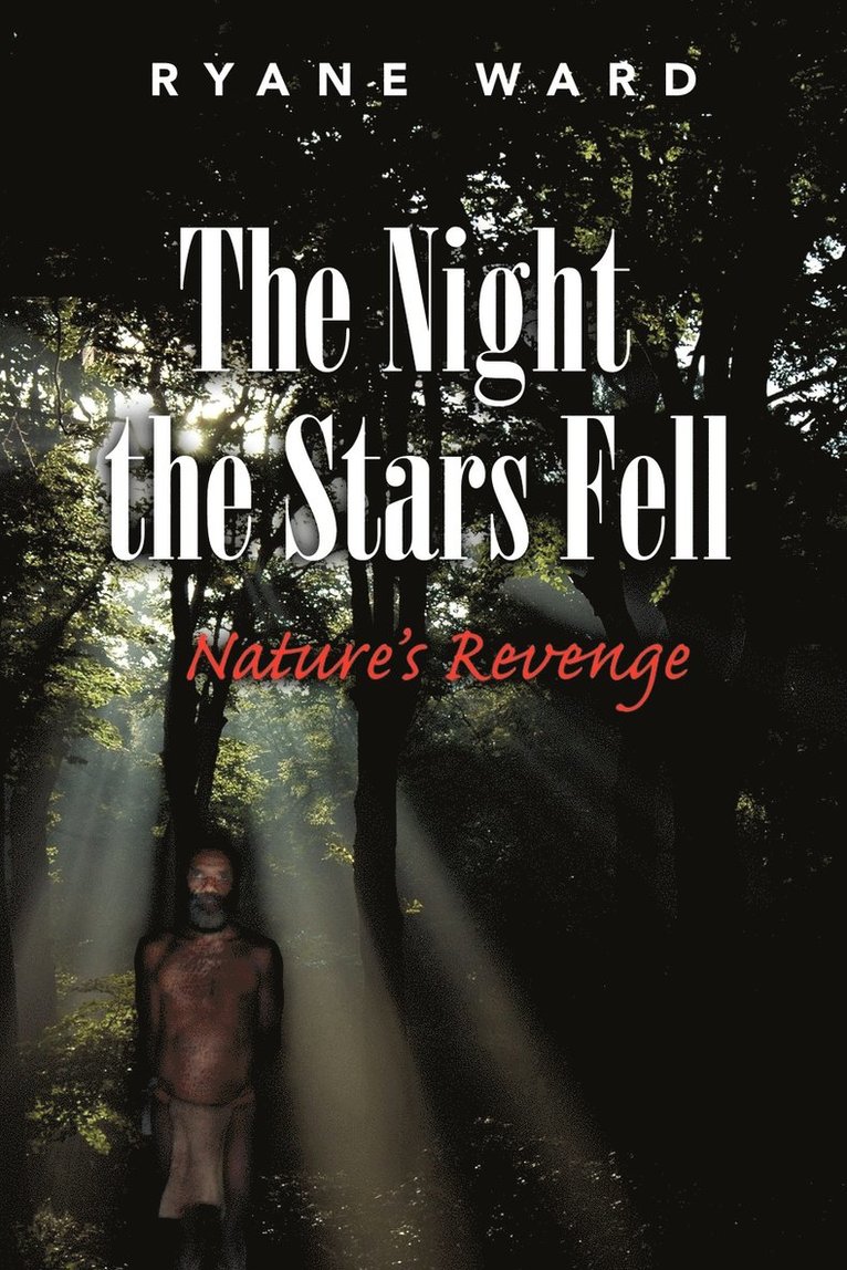 The Night the Stars Fell 1