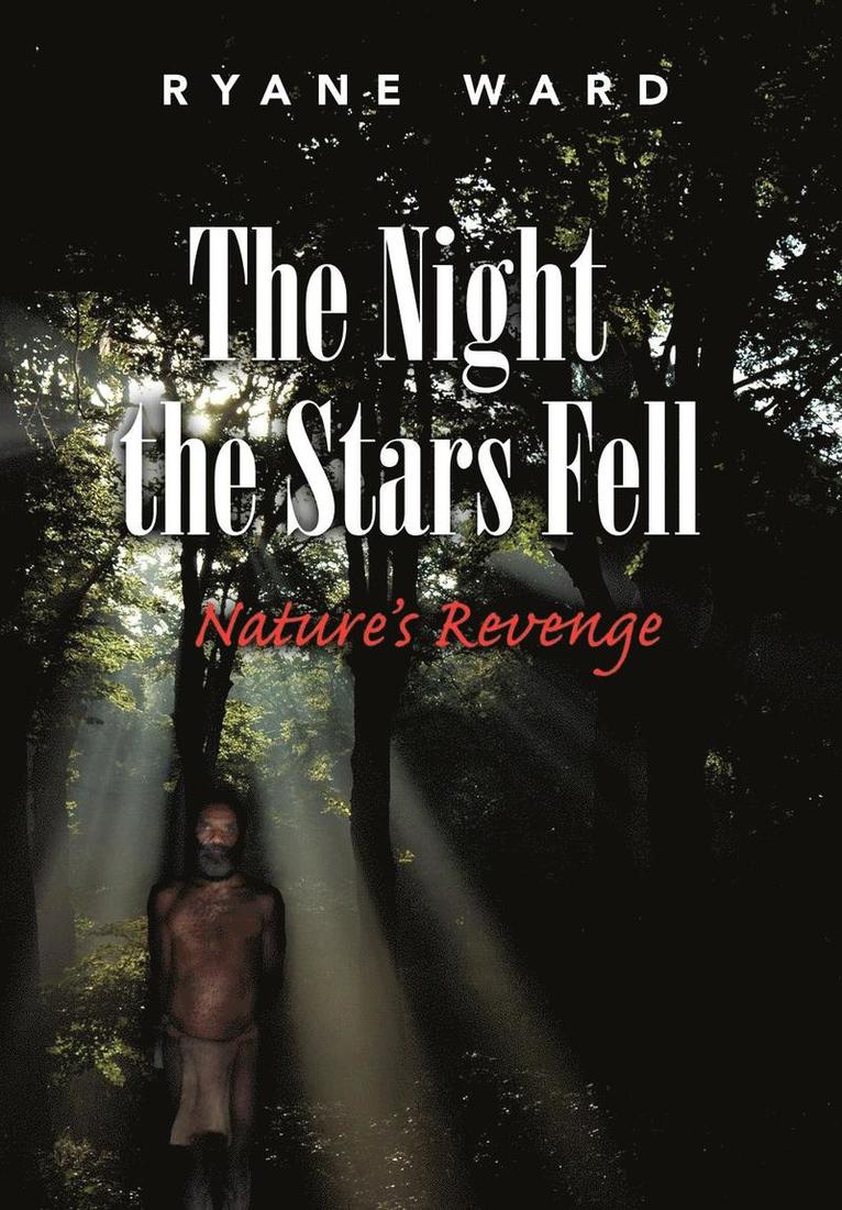 The Night the Stars Fell 1