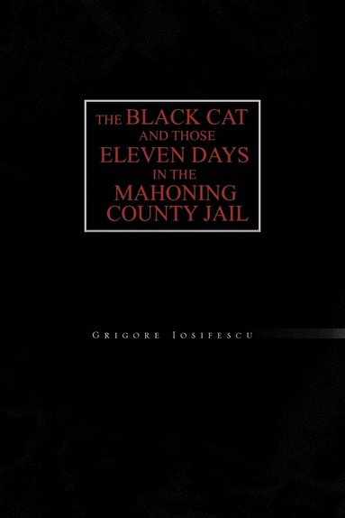 bokomslag The Black Cat and Those Eleven Days in the Mahoning County Jail