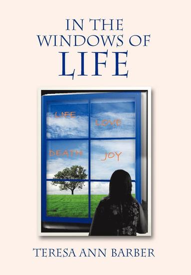 bokomslag In The Windows Of Life