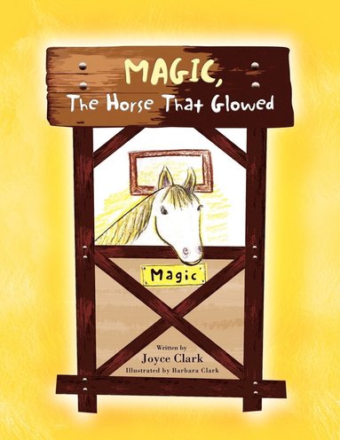 bokomslag Magic, The Horse That Glowed