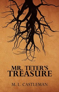 bokomslag Mr. Teter's Treasure