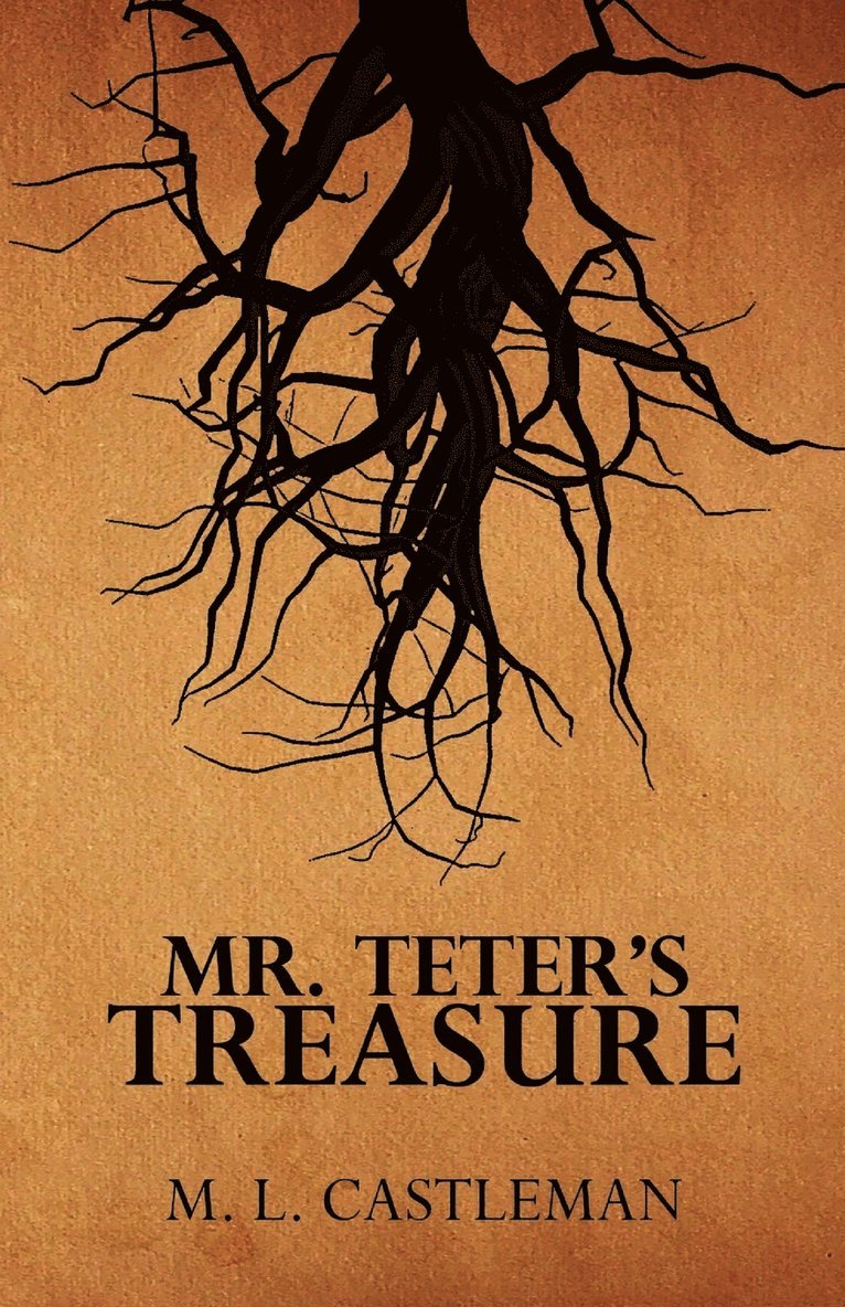 Mr. Teter's Treasure 1