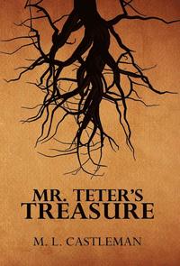 bokomslag Mr. Teter's Treasure