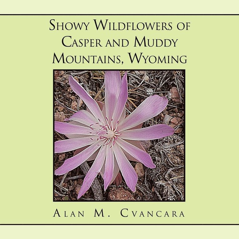 Alan M Cvancara, Alan M. Cvancara - Showy Wildflowers of Casper and Muddy Mountains, Wyoming, Häftad