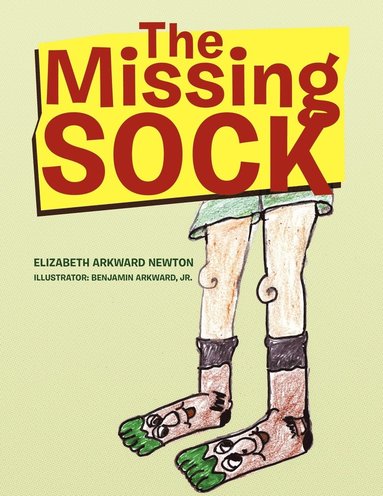 bokomslag The Missing Sock