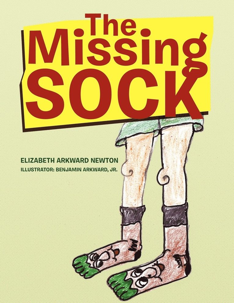 The Missing Sock 1