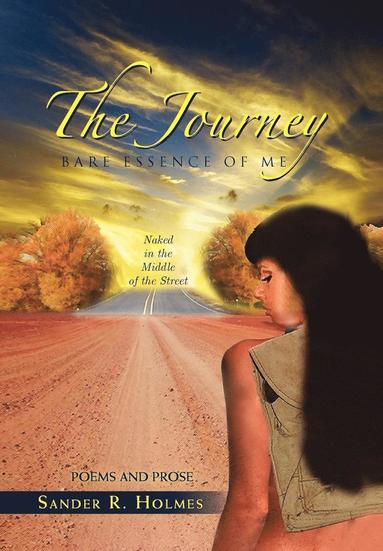 bokomslag Journey