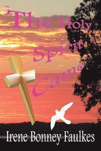 bokomslag Holy Spirit Came