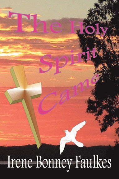 bokomslag Holy Spirit Came