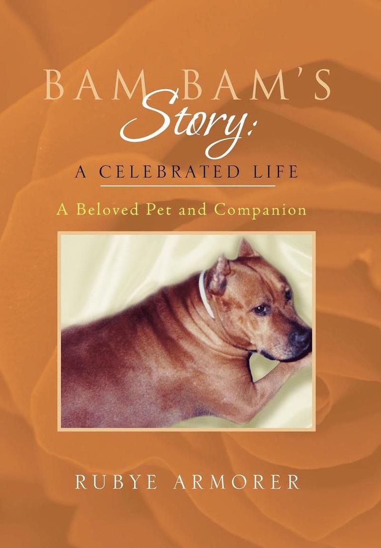 Bam Bam's Story 1