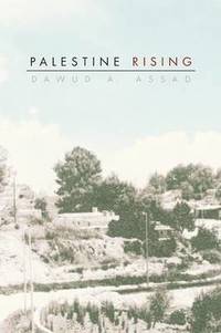 bokomslag Palestine Rising