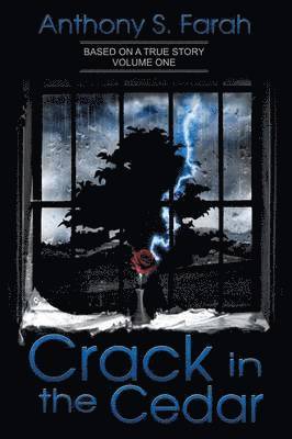 Crack in the Cedar 1