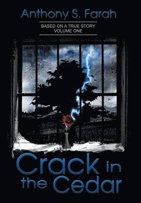 Crack in the Cedar 1