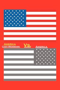 bokomslag America vs. America