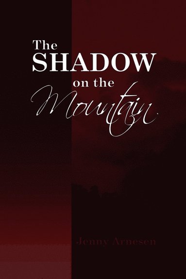 bokomslag Shadow on the Mountain