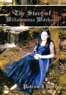 bokomslag Story of Willowmina Witchazel