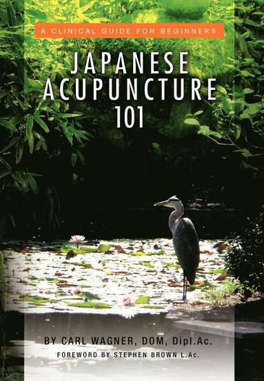 bokomslag Japanese Acupuncture 101