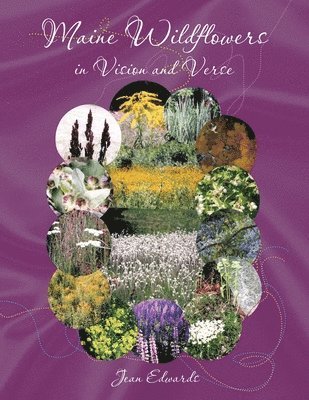 Jean Edwards - Maine Wildflowers in Vision and Verse, Häftad