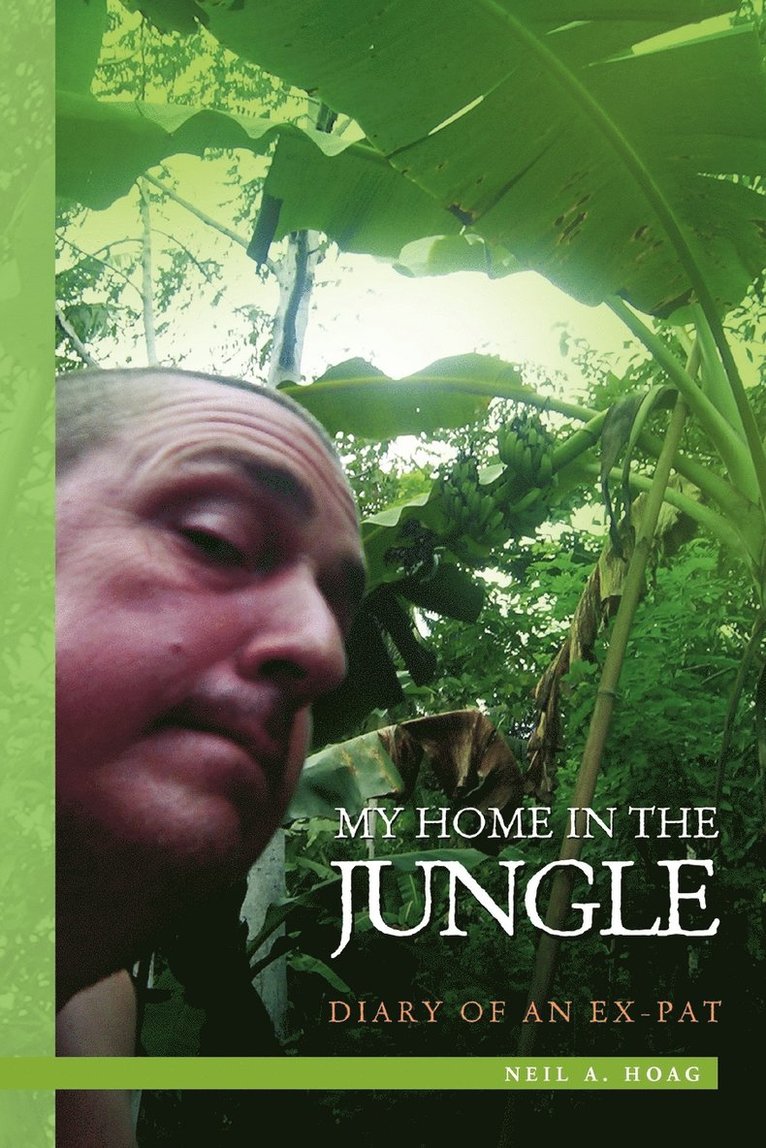 My Home in the Jungle 1