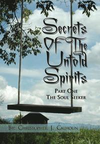 bokomslag Secrets Of The Untold Spirits