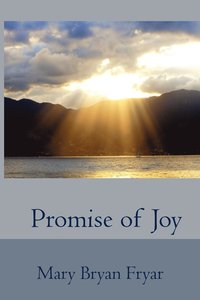 bokomslag Promise of Joy