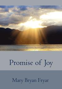 bokomslag Promise of Joy