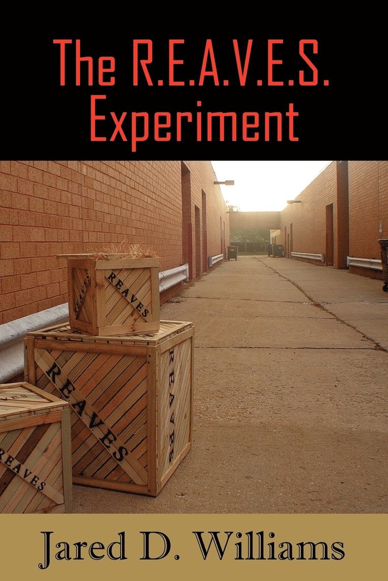 The R.E.A.V.E.S. Experiment 1