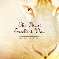 bokomslag The Most Excellent Way