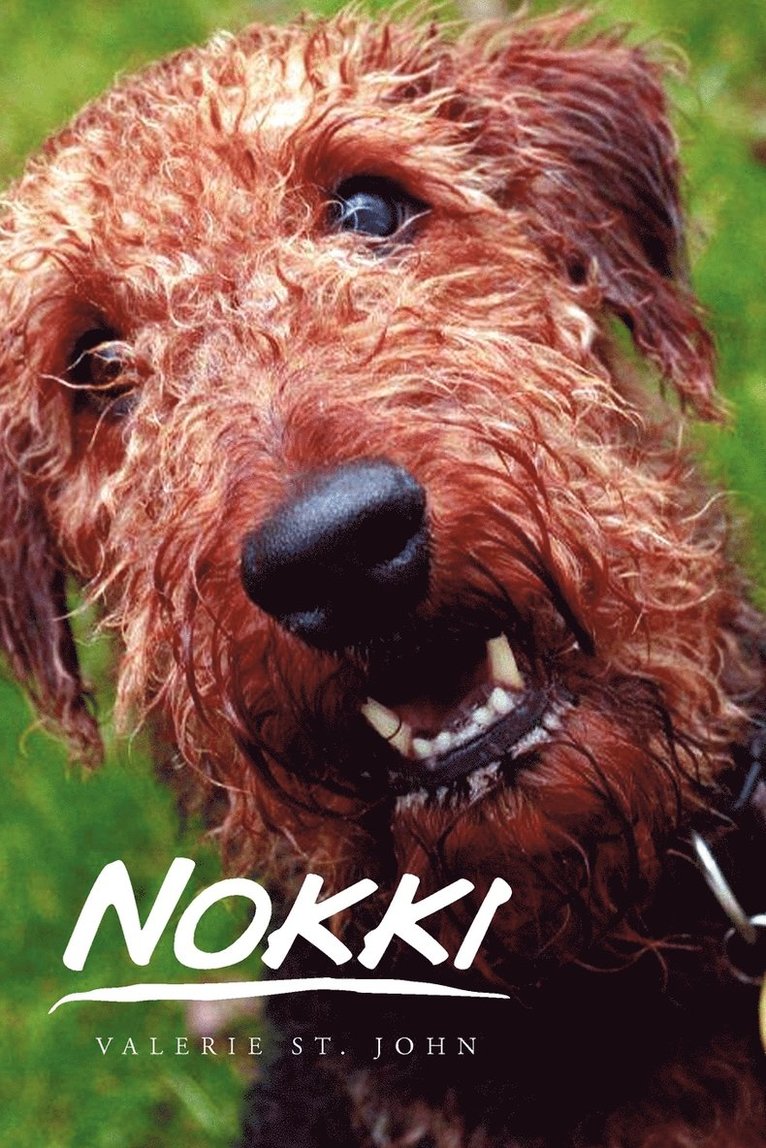 Nokki 1