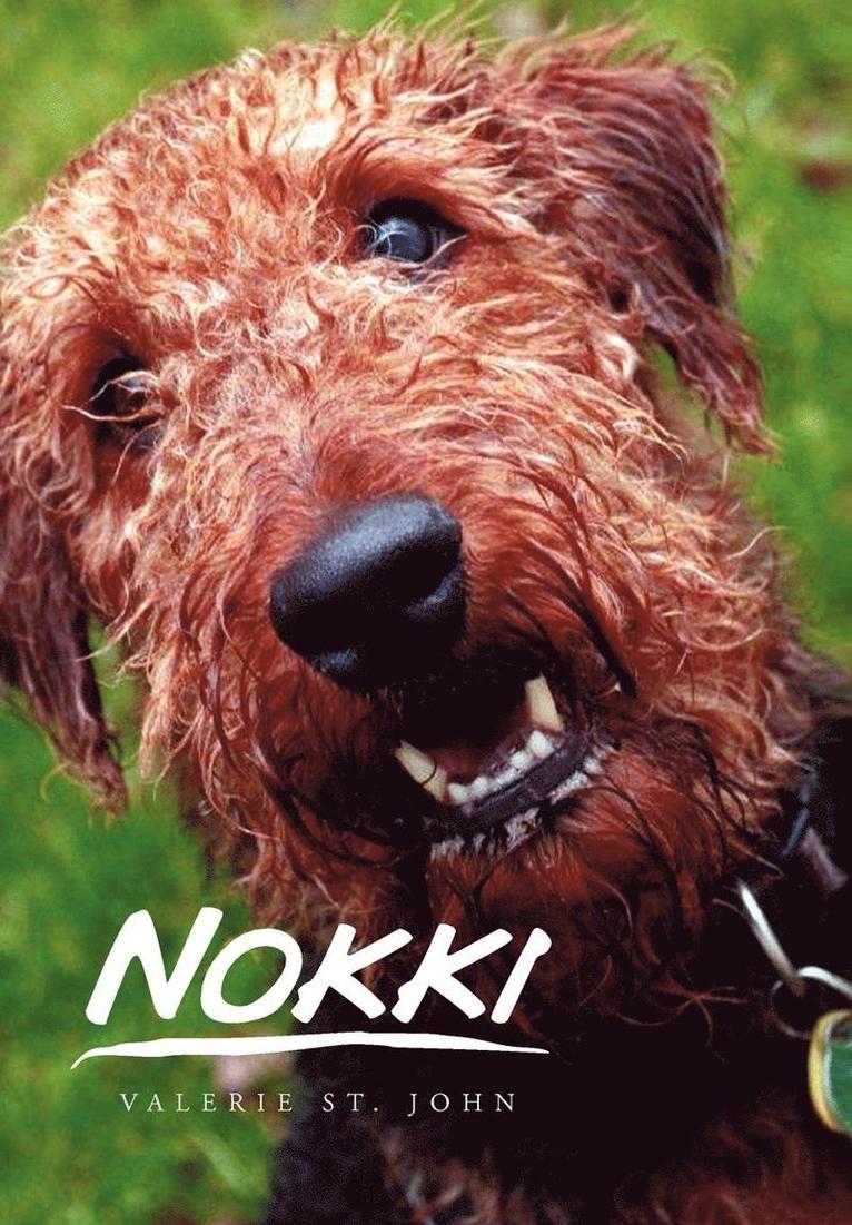 Nokki 1