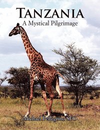 bokomslag Tanzania- A Mystical Pilgrimage